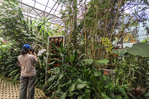 Bandung: Tour del vulcano Tangkuban Parahu e delle aree circostanti