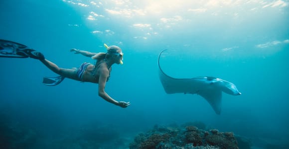 Bali/Nusa Penida: Manta Point Snorkel Boat & West Coast Tour