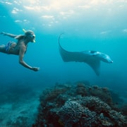 Bali/Nusa Penida: Manta Point Snorkel Boat & West Coast Tour