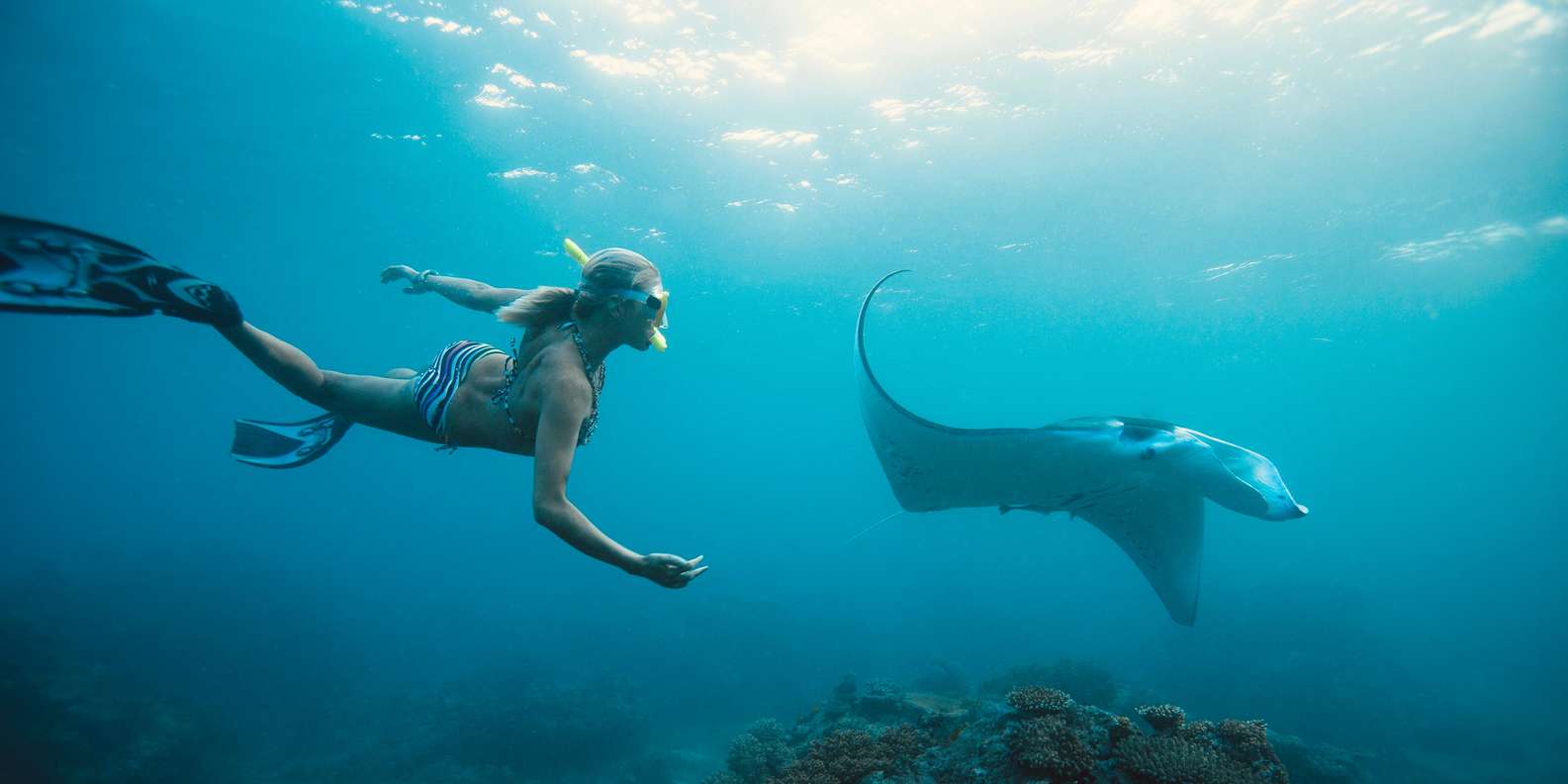 Bali/Nusa Penida: Manta Point Snorkel Boat & West Coast Tour
