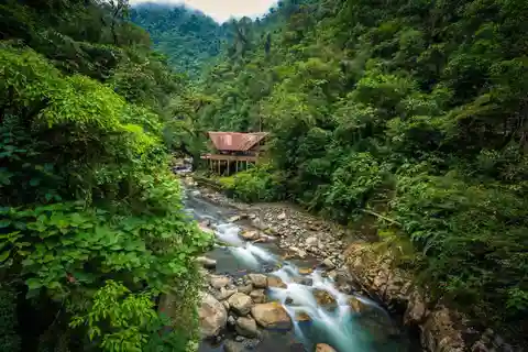 Cusco: 3-Day Manu National Park and Amazon Fauna Tour