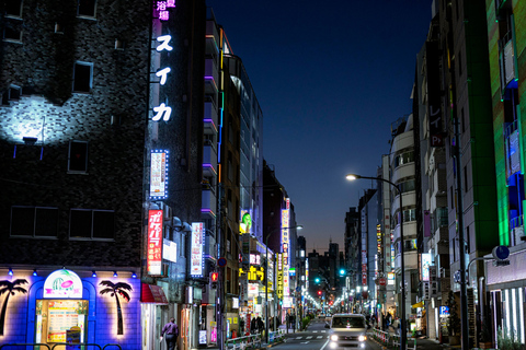 Tokyo Full Day Private Sightseeing Tour with English Driver