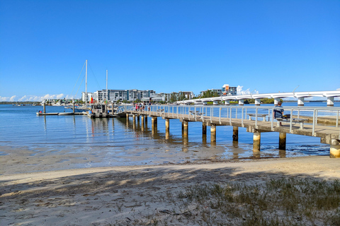 Desde Brisbane: Excursión a la Montaña Tamborine y Paradise Point