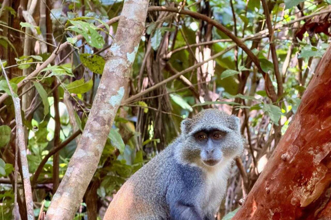 Zanzibar: Spice Farm, Jozani Forest & Salaam Cave Tour Private tour without hotel transfer