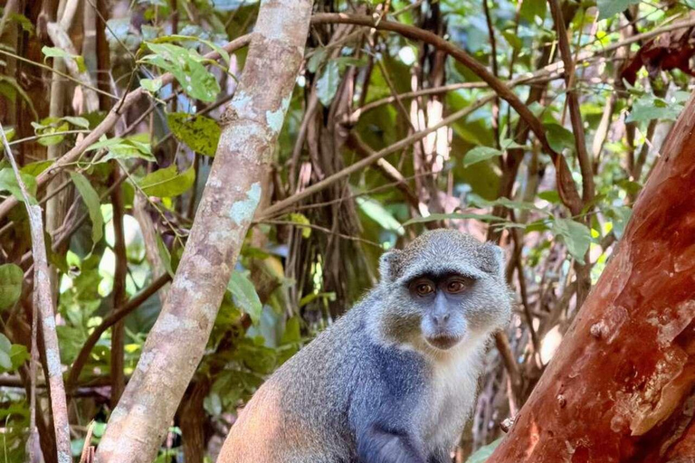 Zanzibar: Spice Farm, Jozani Forest & Salaam Cave Tour Private tour without hotel transfer