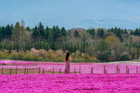Tokyo Private Mt Fuji Guided Tour All-Inclusive Experience