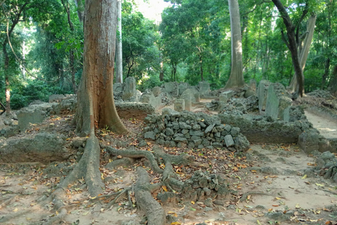 Mtwapa: Jumba-Ruins &amp; BushVillage dagtour en dorpsdiner.