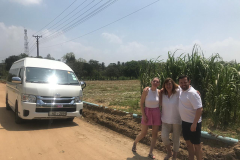 Ella Drop from Sigiriya (Private Transfer)