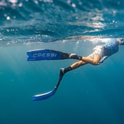 Perth to Exmouth: 6-Day Ningaloo Reef & Coral Coast Tour