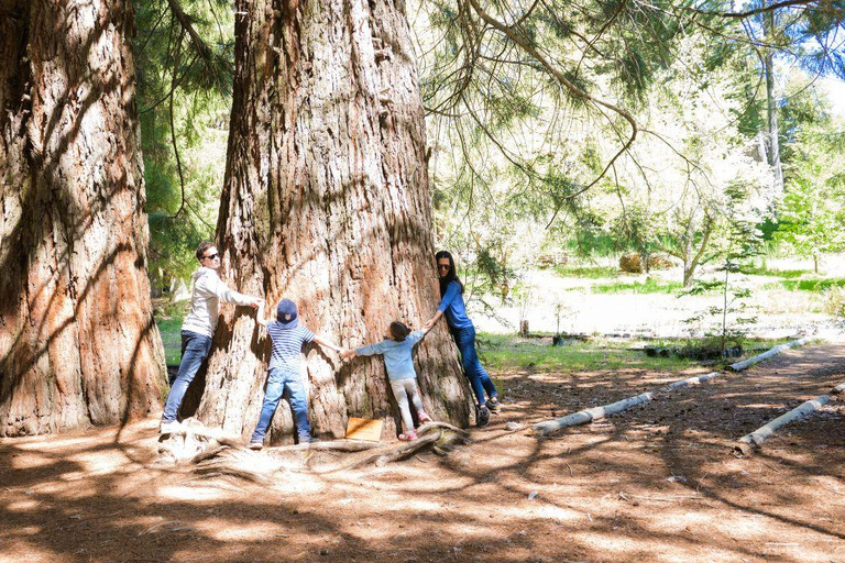 Bariloche: Boat Tour to Victoria Island and Arrayanes Forest Tour Without Transfer