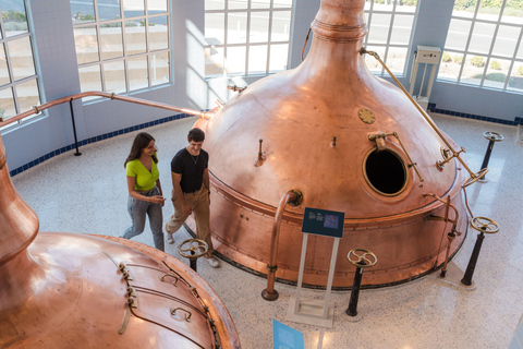 The Brewery Experience and beer tasting including transport