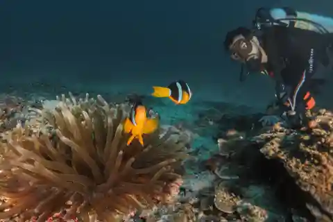 Daymaniyat Diving Trip