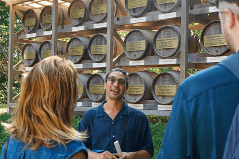 Tokio: wandeltour langs de hoogtepunten van Harajuku en Meiji JinguTijdreizen in Tokio: popcultuur in Harajuku en het Meiji Jingu-heiligdom