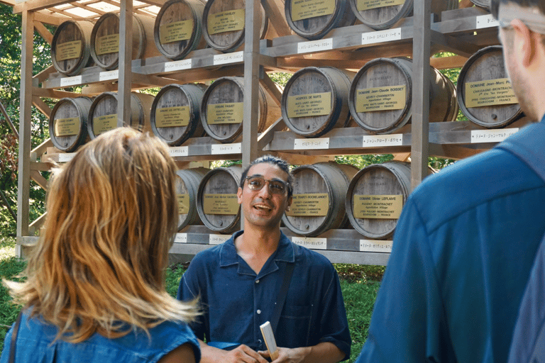 Tokio: wandeltour langs de hoogtepunten van Harajuku en Meiji JinguTijdreizen in Tokio: popcultuur in Harajuku en het Meiji Jingu-heiligdom