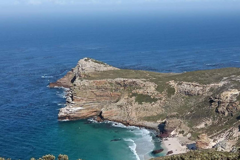 Kap det goda hoppet och Boulders Beach Privat tur