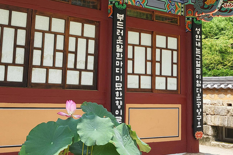 Seoul: Cherry Blossom & Pokpo Waterfall Cafe One Day Tour A. Cherry Blossom Spring Route