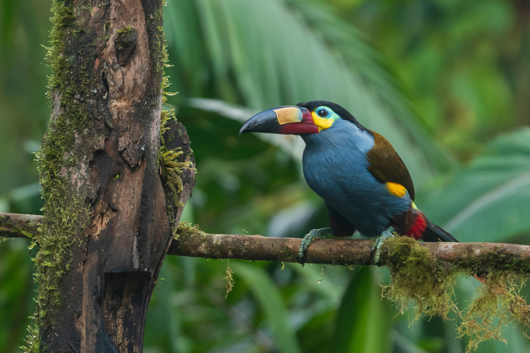 Quito: Mindo Cloud Forest 2-Day Tour with Meals & Hotel