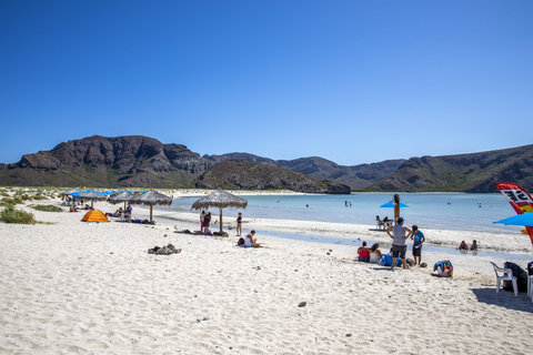La Paz: Balandra or Tecolote amazing Beach Day Tour