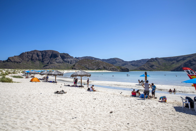 La Paz: Balandra or Tecolote amazing Beach Day Tour