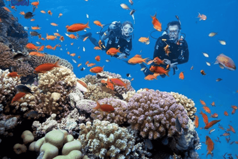 Hoi An: Excursión submarina a pie y con esnórquel por la isla de ChamExcursión de snorkel a la Isla Cham