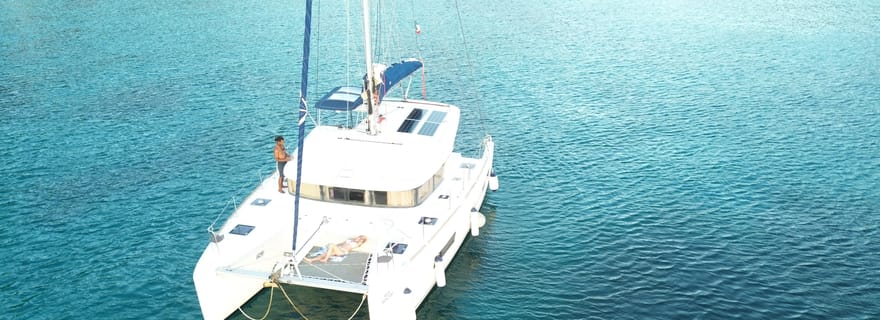 Martinique: Dolphin and Turtle Watching Catamaran Day Tour