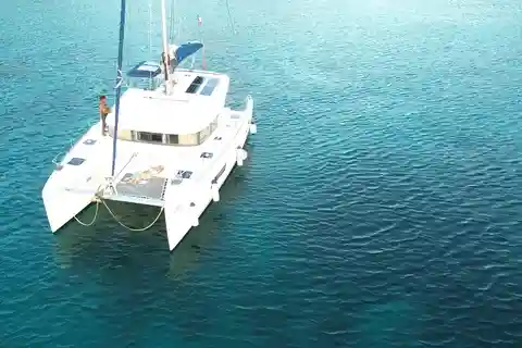 Martinique: Dolphin and Turtle Watching Catamaran Day Tour