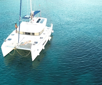 Martinique: Dolphin and Turtle Watching Catamaran Day Tour