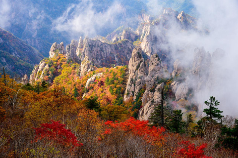 Seoul: Mt. Seoraksan National Park Autumn Foliage Day Tour Seoraksan Foliage Shared Tour, Meet at Dongdaemun