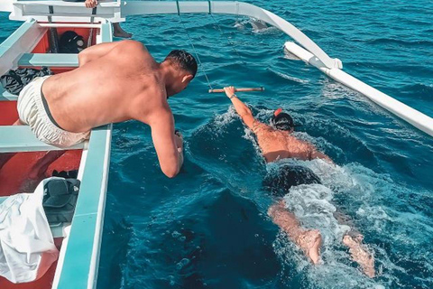 Bali : Observation des dauphins au lever du soleil, baignade et plongée en apnéeTour en bateau privé avec lieu de rendez-vous