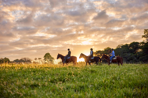 Halvdagstur till Kuranda med djurpark och ridturCairns: Kuranda Village Horse Ride och besök på djurparken