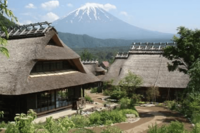 From Tokyo: Mount Fuji Full Day Customizable Private Tour