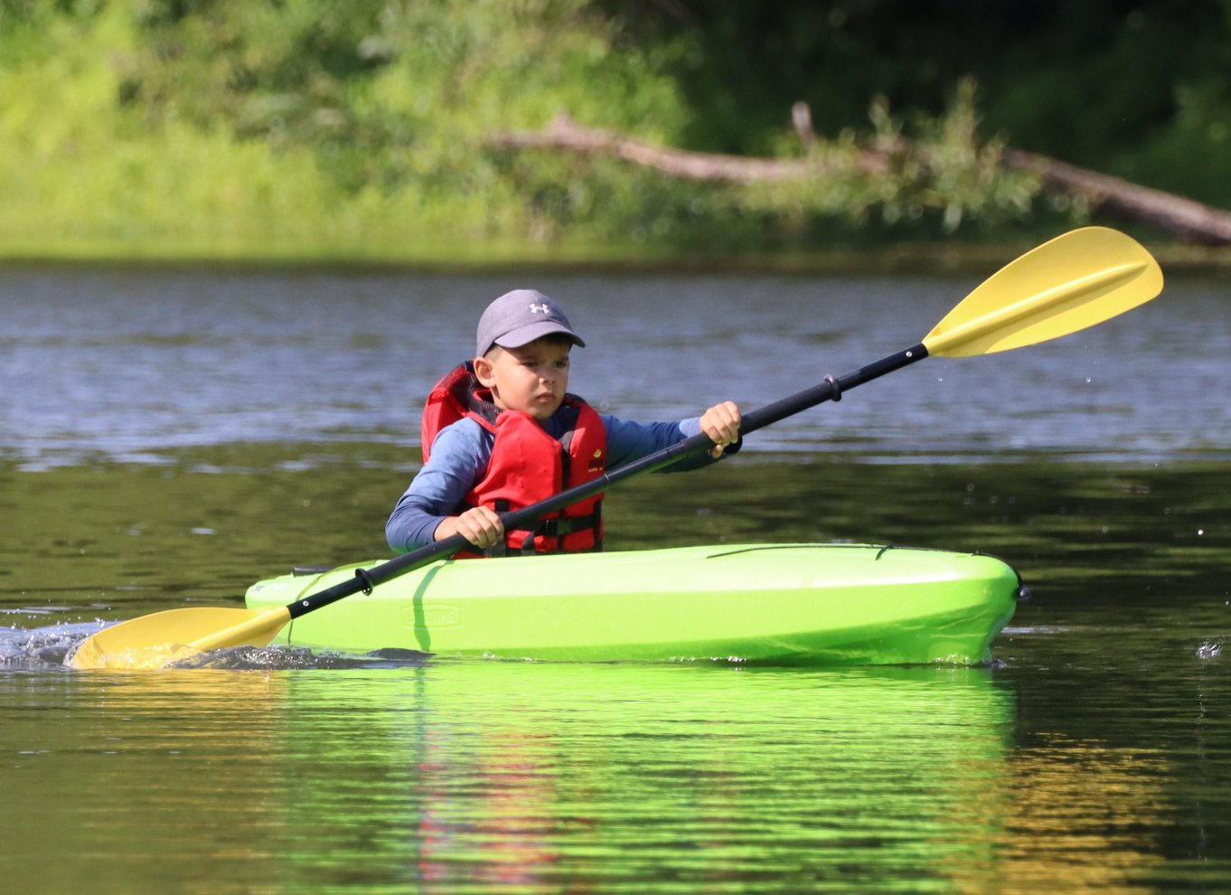 Ottawa: Kajaktur i økologisk reservat med skildpaddeobservationer
