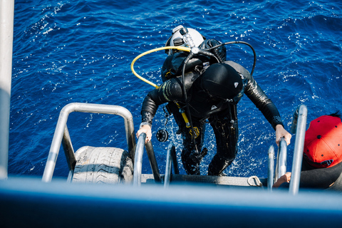 Khao Lak: Similan and Surin Daytrip 2 dives + Hotel Transfer Friday Option — Richelieu Rock