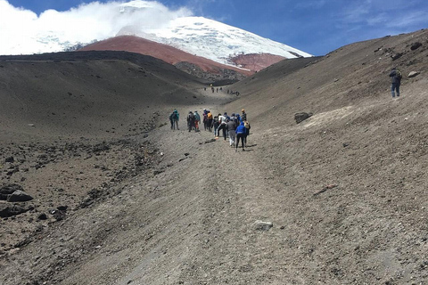 Vanuit Quito: Cotopaxi Vulkaan en Limpiopungo Lagune Tour