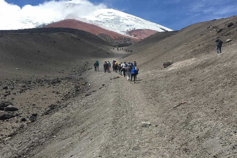 Z Quito: Wycieczka do wulkanu Cotopaxi i laguny Limpiopungo