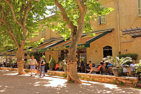 From Nice or Cannes: Private Guided Tour to Grasse & St-Paul