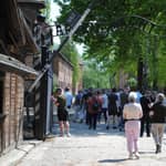 Auschwitz-Birkenau: tour guidato da Cracovia con prelievo in hotel