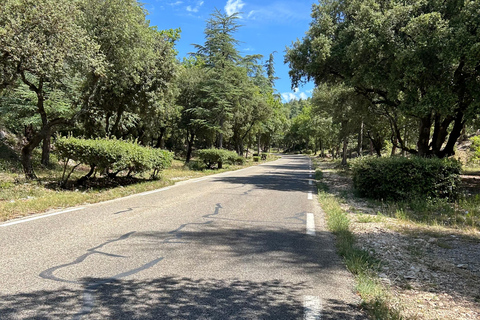 Departure from Avignon: Try climbing Mont Ventoux by electric bike From Avignon: Try climbing Mont Ventoux on an electric bike
