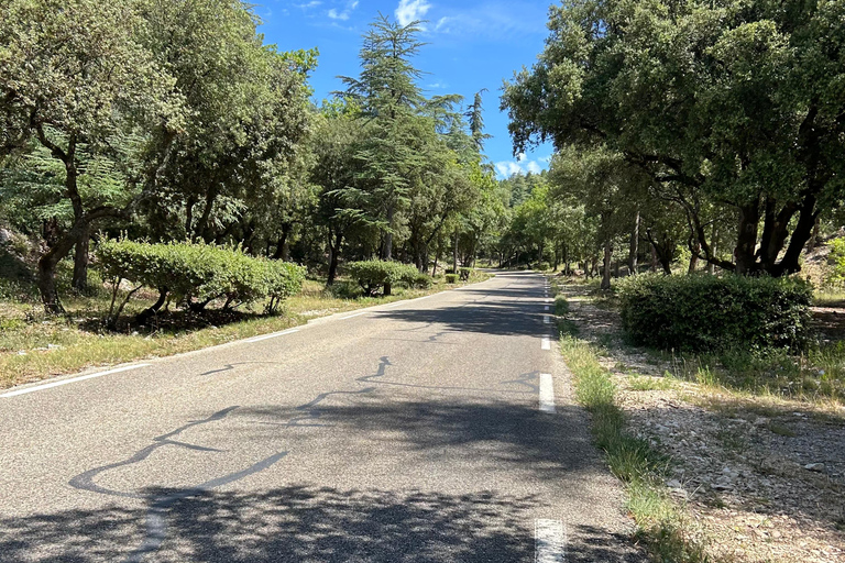Departure from Avignon: Try climbing Mont Ventoux by electric bike From Avignon: Try climbing Mont Ventoux on an electric bike