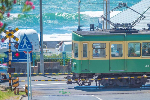 Tour guiado particular e personalizado de um dia em Kamakura