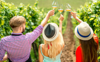 Von Baku, Wein Degustation und Plantage Besuch in Goychay - Hizvo