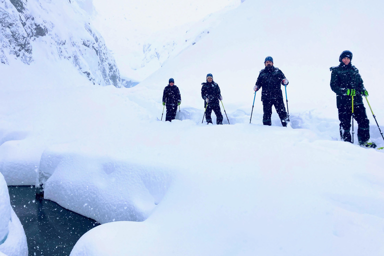 Guided Snowshoeing Adventure from Seward, Alaska 6-Hour Tour
