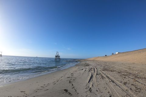 Swakopmund: Sunset Kayaking Tour with Hotel Pickup