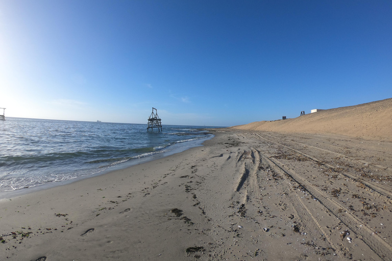 Swakopmund: Sunset Kayaking Tour with Hotel Pickup