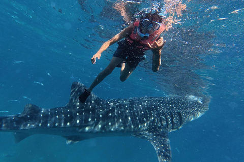 Cebu: Oslob Whaleshark Watching Canyoneering ritiro privato