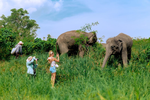 Phuket: Gå och plantera Promenad och plantering i Elephant Nature Park BesökPhuket: Gå och plantera i Elephant Nature Park Besök