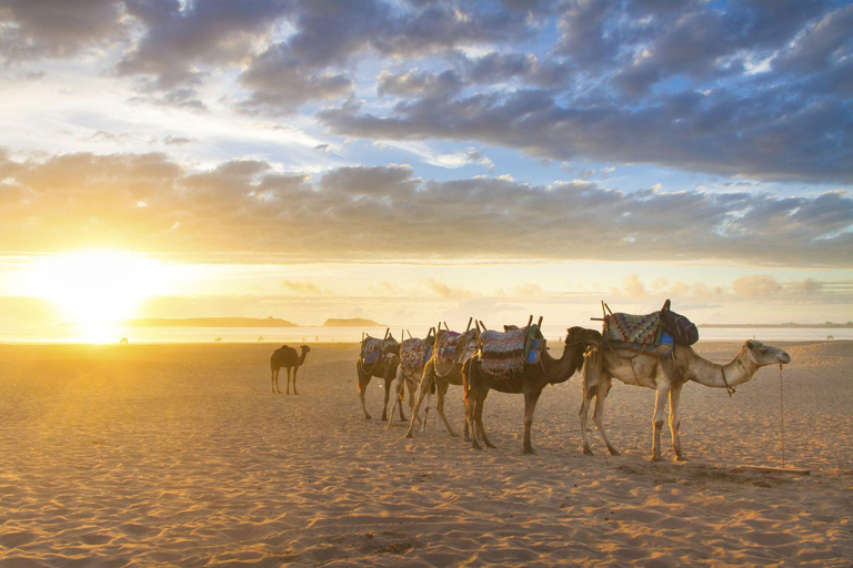 Visite touristique d&#039;Agadir avec l&#039;Oufella et le Souk d&#039;AgadirVisite touristique d&#039;Agadir avec visite d&#039;Agadir Oufella