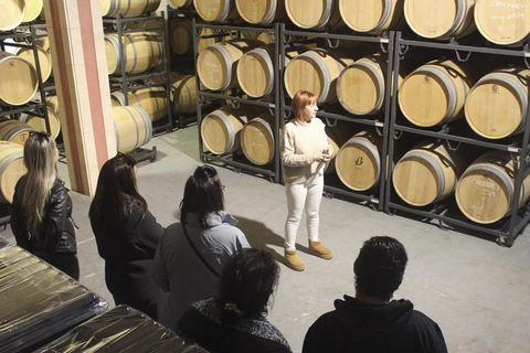 Alcúdia/Can Picafort: Guided Vineyard Visit and Wine Tasting Pickup at a Meeting Point in Can Picafort