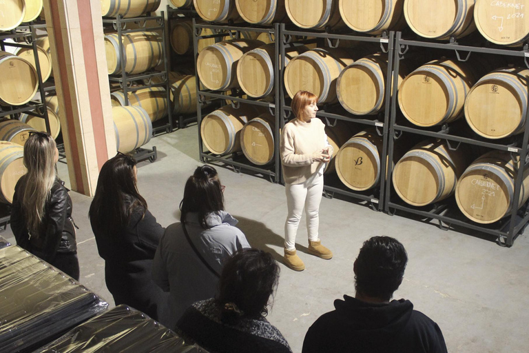 Alcúdia/Can Picafort: Guided Vineyard Visit and Wine Tasting Pickup at a Meeting Point Near Playa de Muro