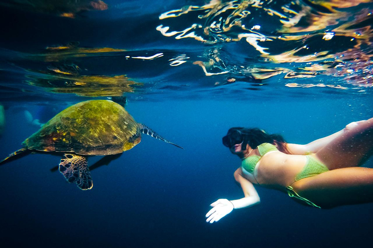 Ko Tao: Late Riser Snorkeling Tour with Lunch and Photos